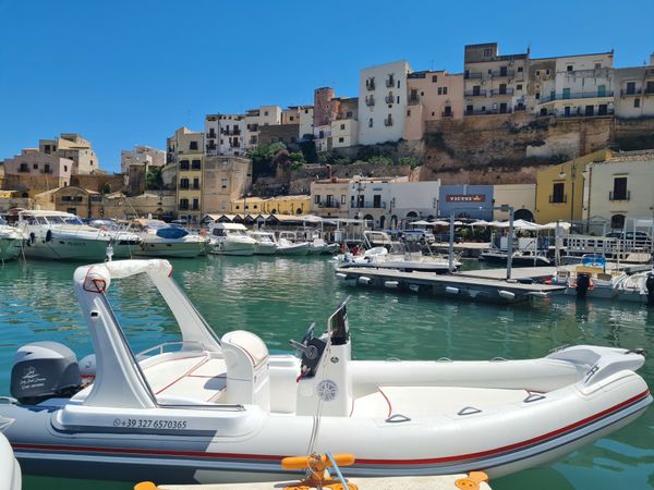 Colbac 580 Shark | 005