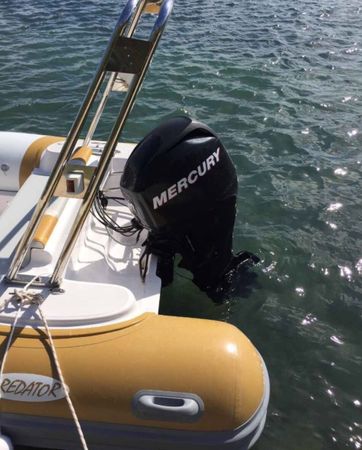 Italboats Predator 490 | 16