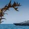 Sunseeker 86 | The Best Way