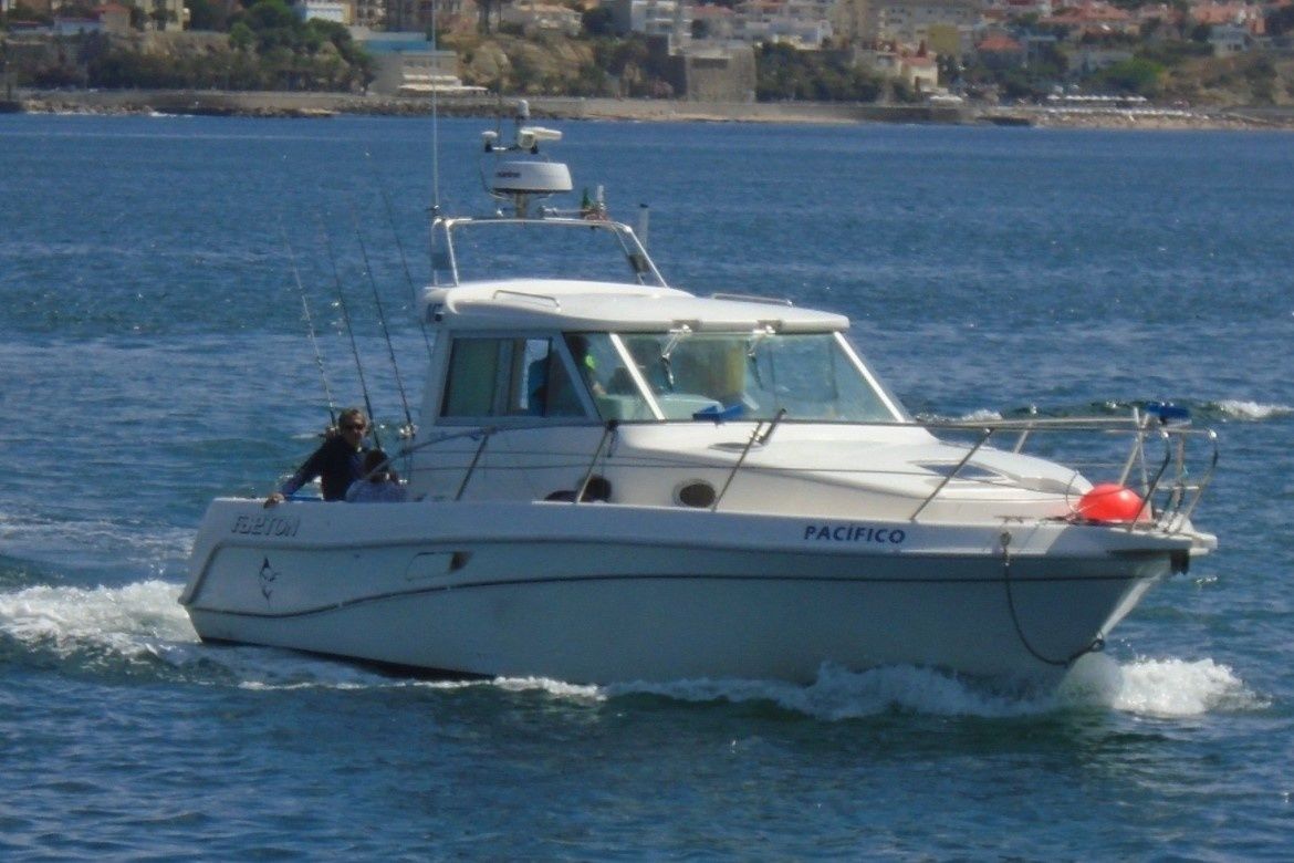 Faeton Moraga 930 | Pacifico