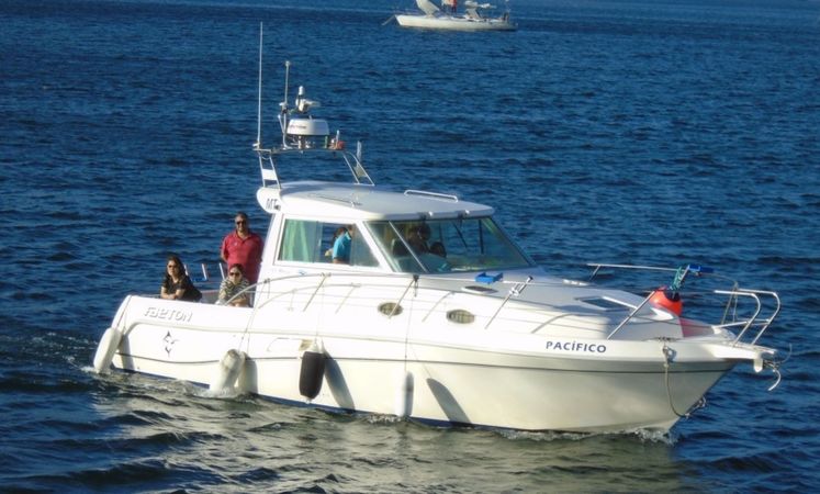 Faeton Moraga 930 | Pacifico