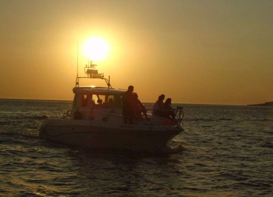 Faeton Moraga 930 | Pacifico