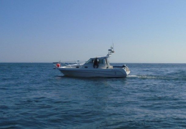 Faeton Moraga 930 | Pacifico