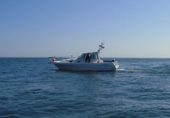 Faeton Moraga 930 | Pacifico