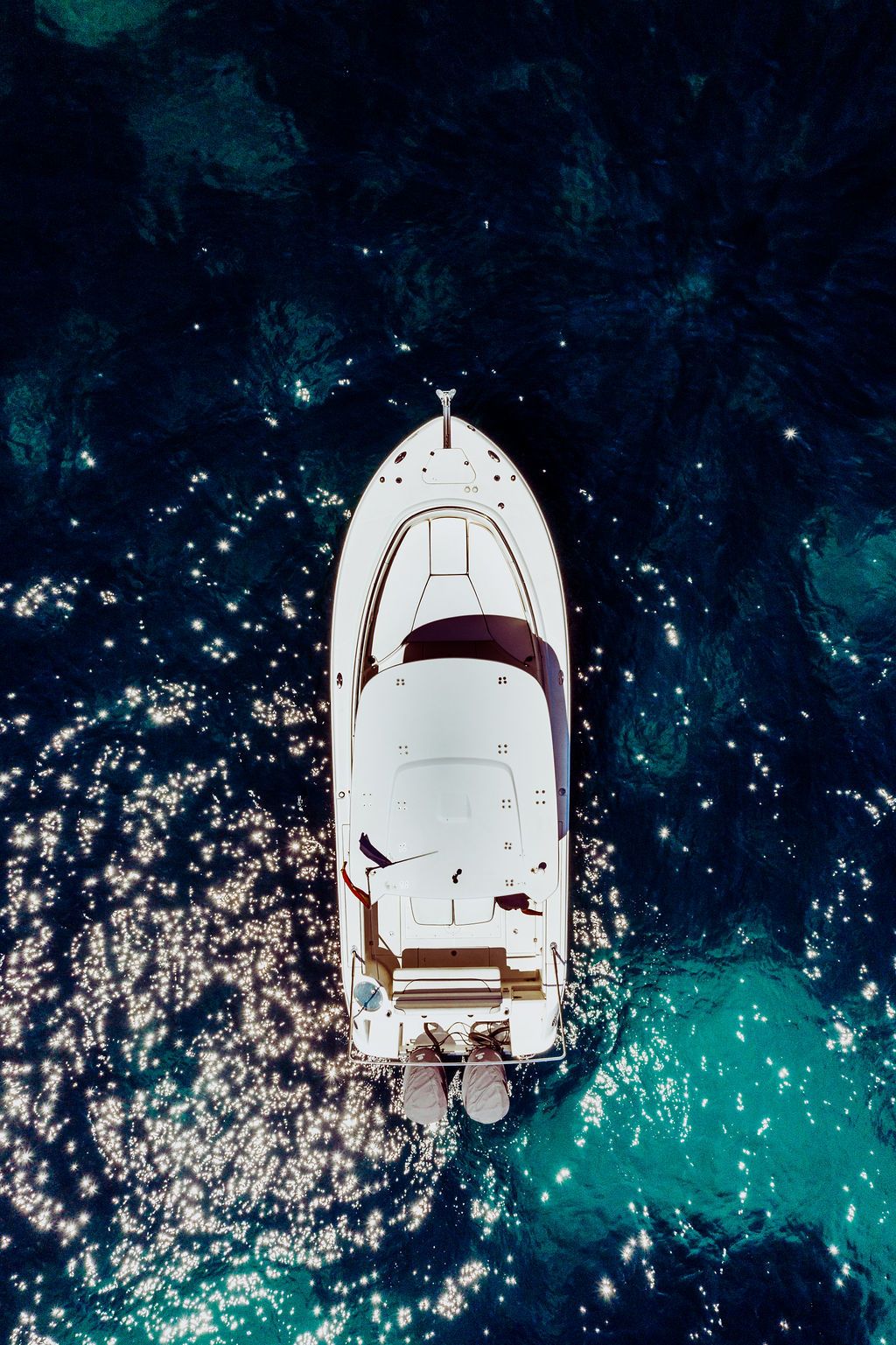 Robalo 300 | Ciaocore