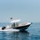 Robalo 300 | Ciaocore