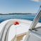Robalo 300 | Ciaocore