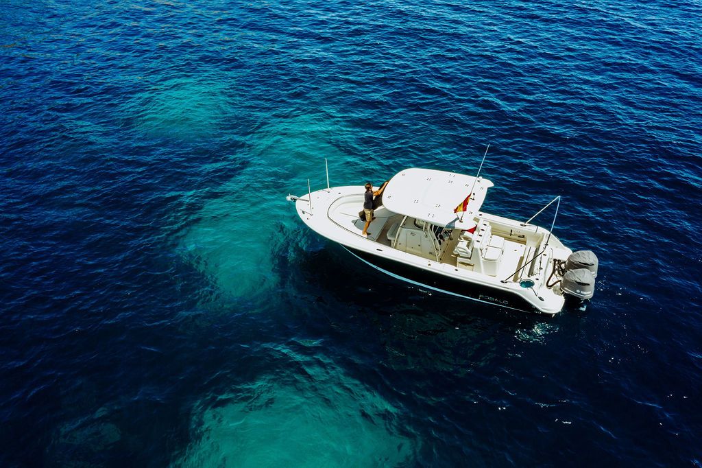 Robalo 300 | Ciaocore