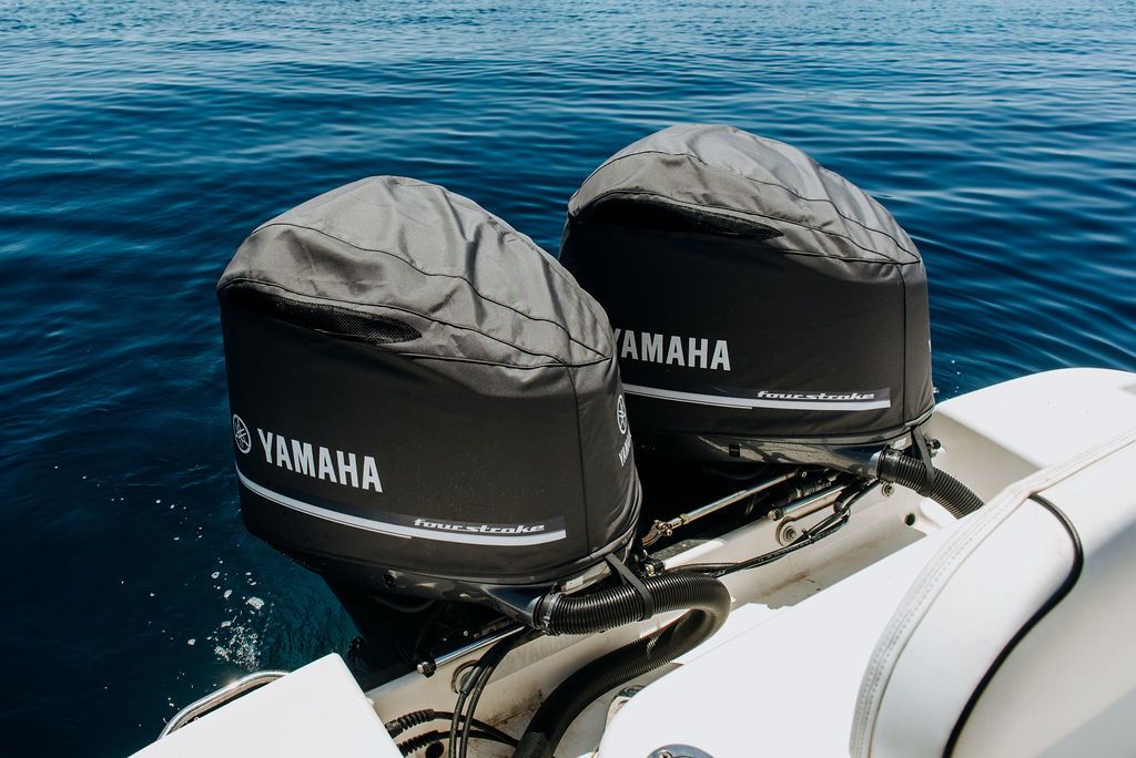 Robalo 300 | Ciaocore
