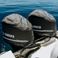 Robalo 300 | Ciaocore