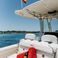 Robalo 300 | Ciaocore