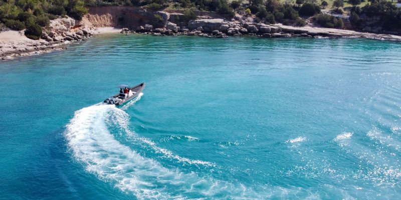 Ribco Scorpion 8.60 | Scorpion