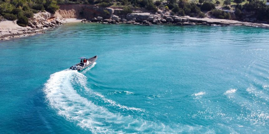 Ribco Scorpion 8.60 | Scorpion