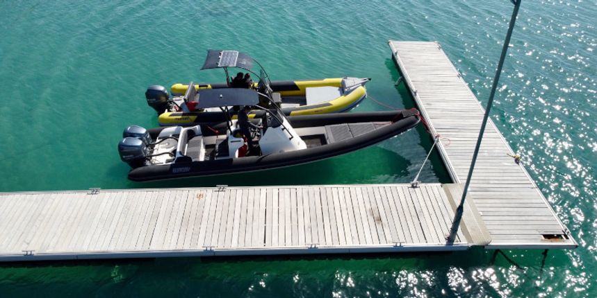 Ribco Scorpion 8.60 | Scorpion