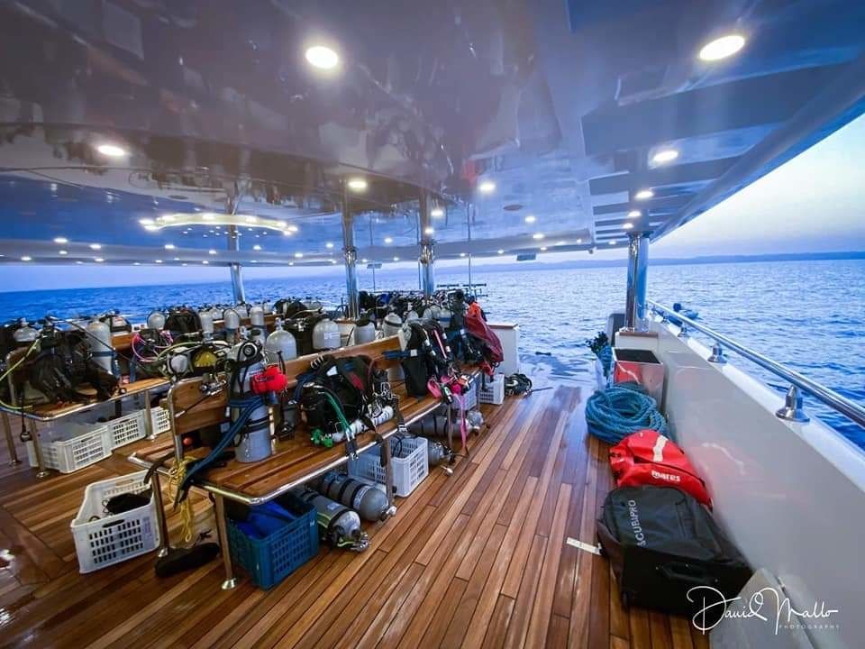 Custom Built 45 | Turquoise