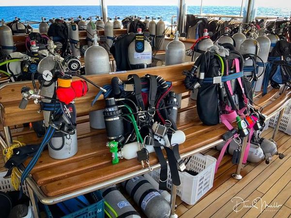 Custom Built 45 | Turquoise