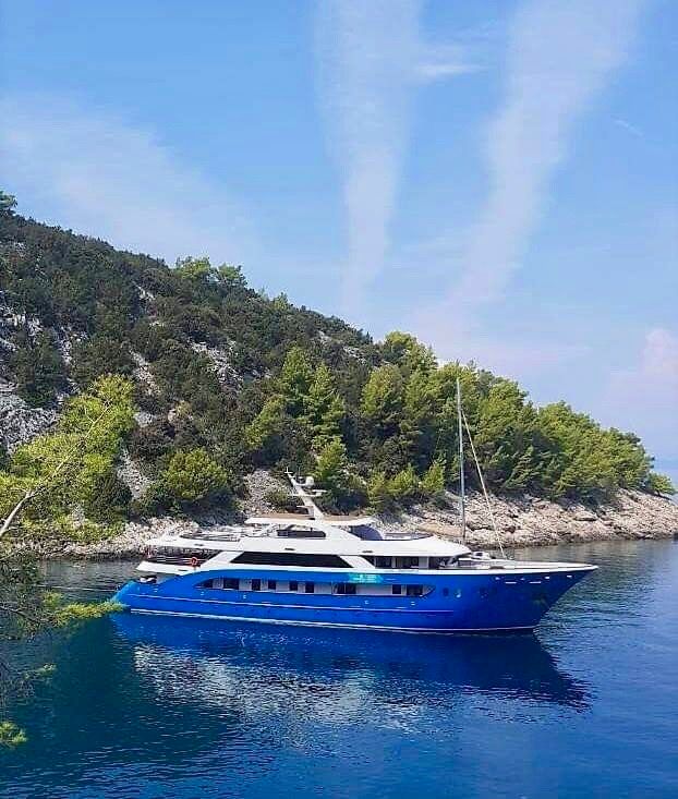 Custom Built 146 | San Antonio