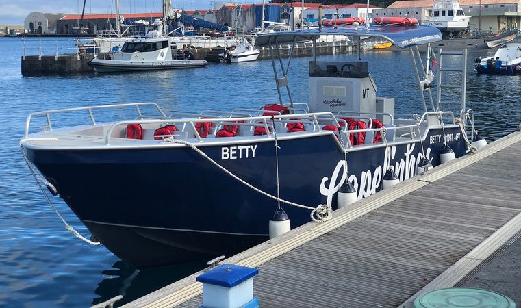 Moggaro M950 | Betty