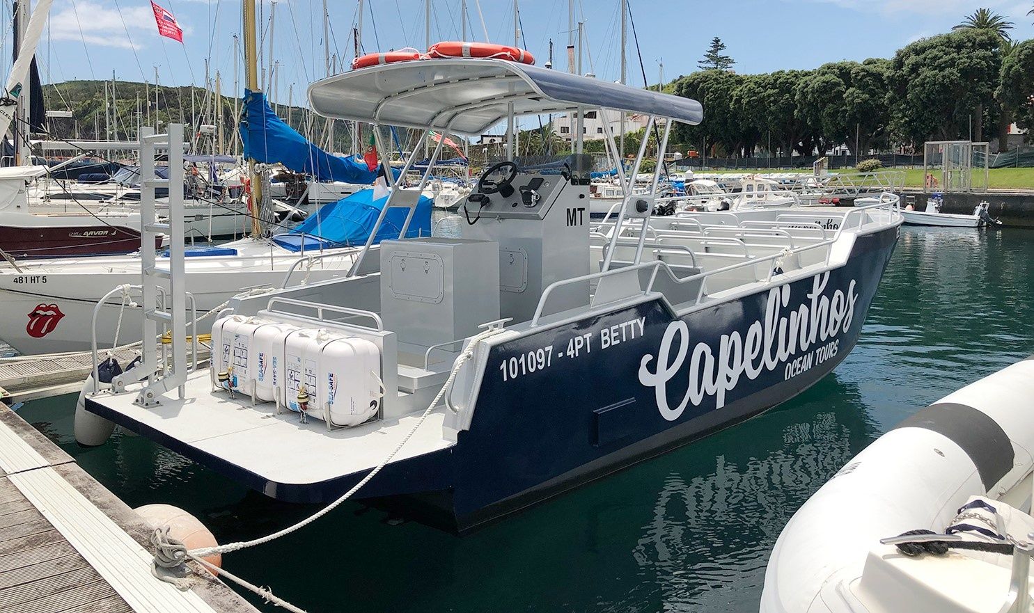 Moggaro M950 | Betty