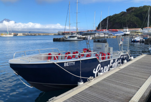 Moggaro M950 | Betty