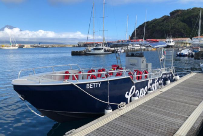 Moggaro M950 | Betty