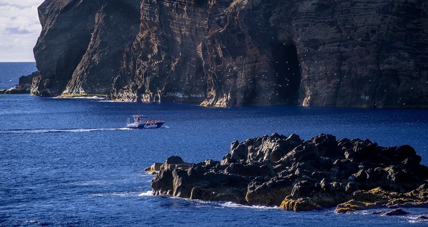 Moggaro M950 | Betty