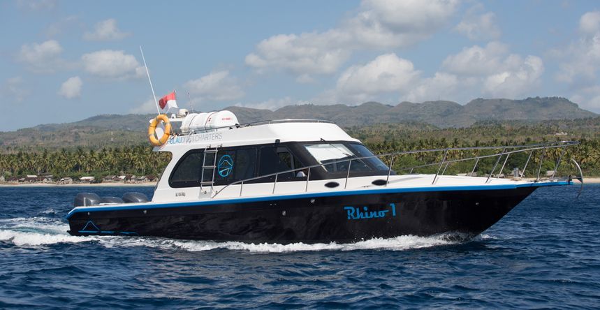 Custom Built 42 | Rhino 1