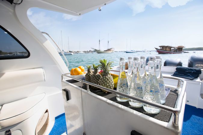 Custom Built 42 | Rhino 1