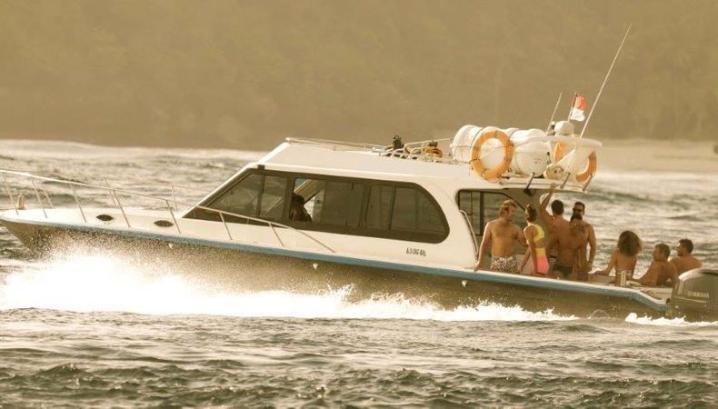 Custom Built 42 | Rhino 1