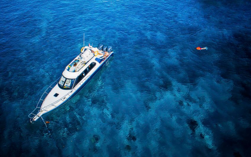 Custom Built 42 | Rhino 1