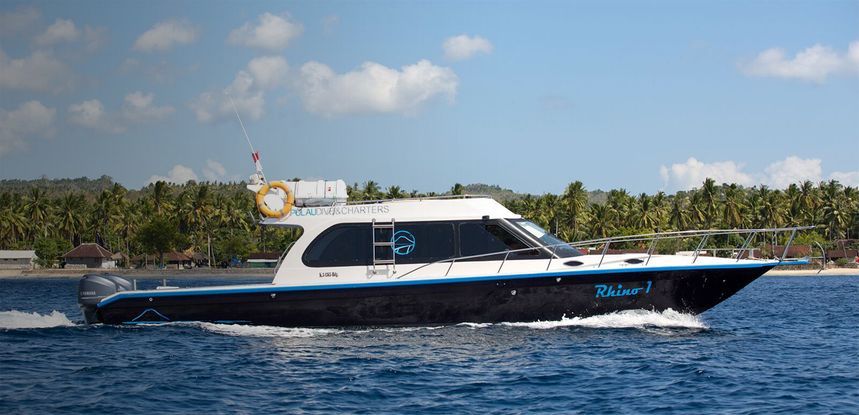 Custom Built 42 | Rhino 1