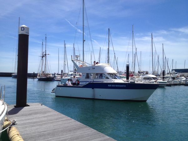 Rodman Fisher 1100 | Mar Dos Navegantes