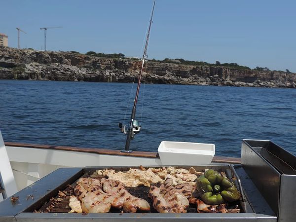 Rodman Fisher 1100 | Mar Dos Navegantes