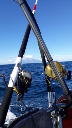 Dufour Gib Sea 43 | Andromeda
