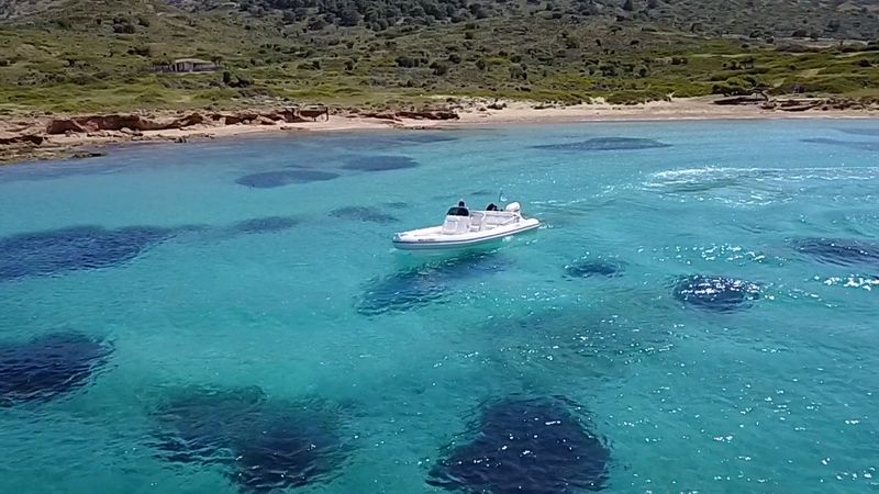 Cobra Yachts 780 | Merci 3