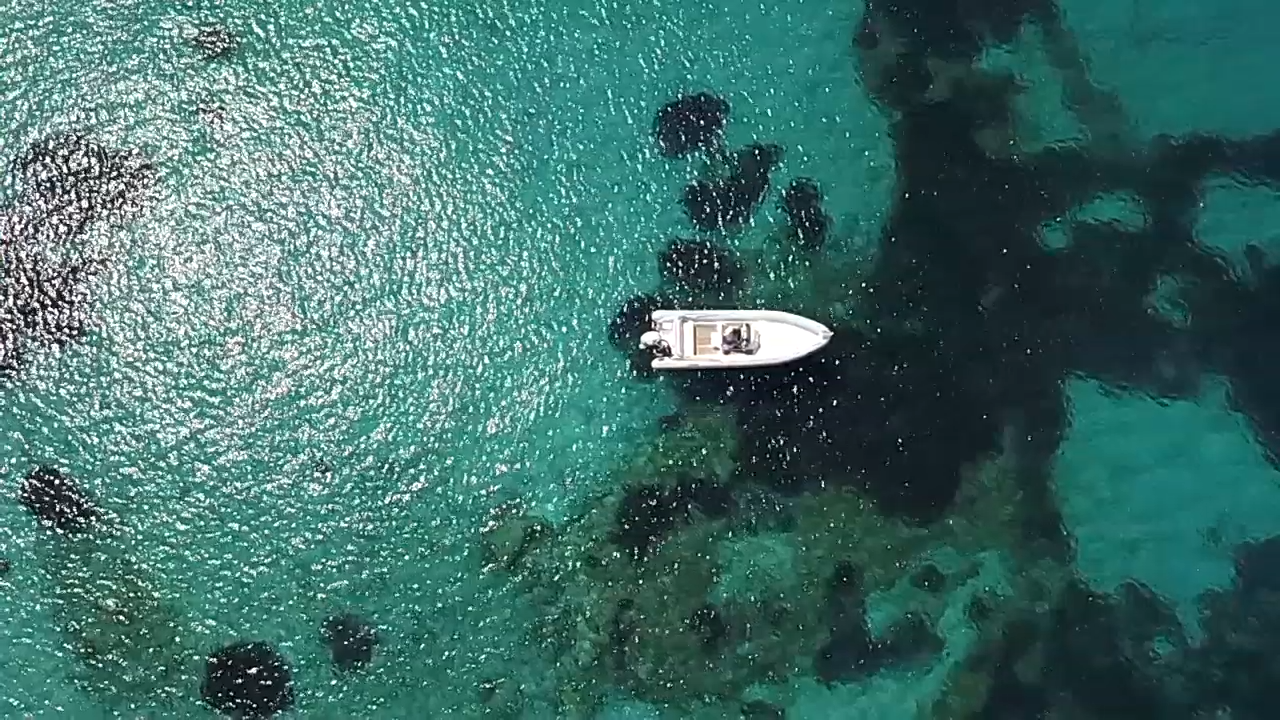 Cobra Yachts 780 | Merci 3