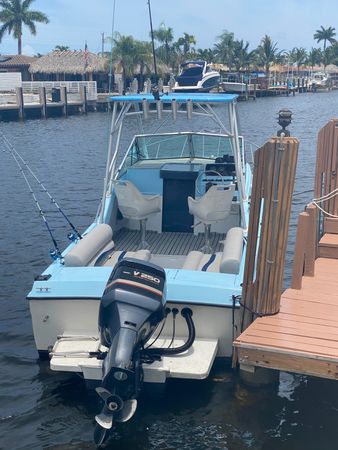 Wellcraft 250 | Sport