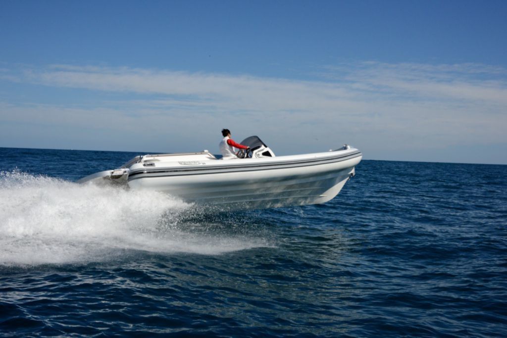 Noah Battelli 29 | Noah Light