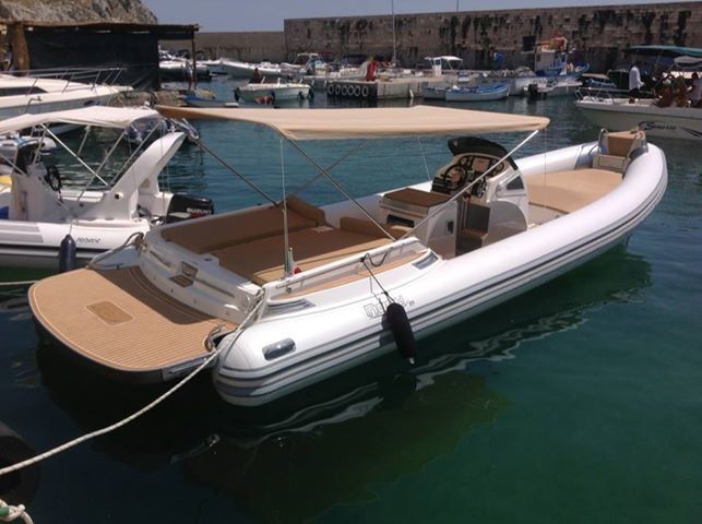 Noah Battelli 29 | Noah Light