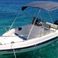 Bellingardo 550 Open | Bellingardo