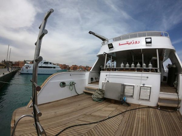 Custom Built 34 | Sunlight