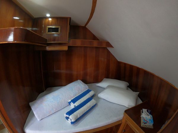 Custom Built 34 | Sunlight