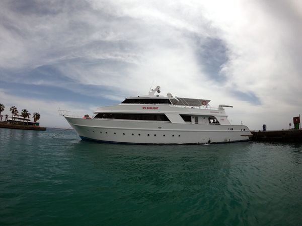 Custom Built 34 | Sunlight