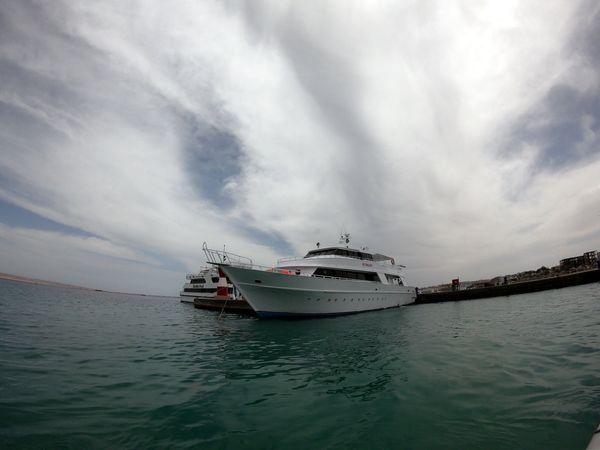 Custom Built 34 | Sunlight