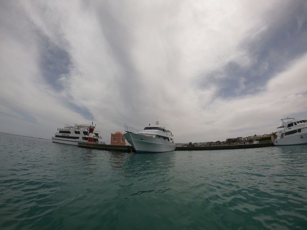 Custom Built 34 | Sunlight