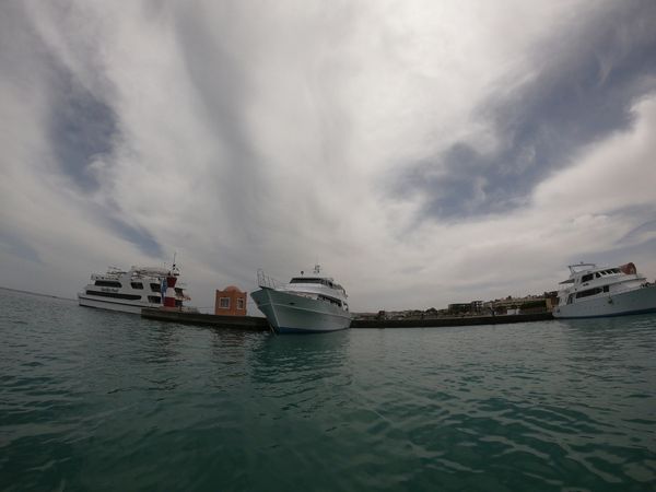 Custom Built 34 | Sunlight