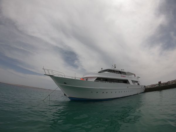 Custom Built 34 | Sunlight