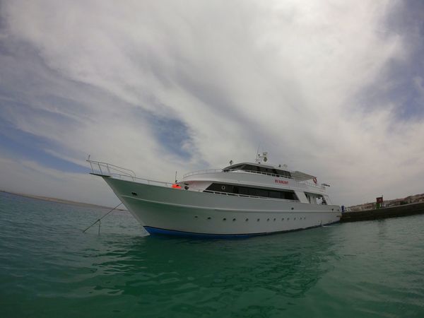 Custom Built 34 | Sunlight