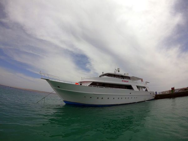 Custom Built 34 | Sunlight