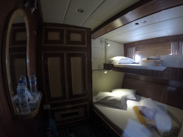 Custom Built 34 | Sunlight